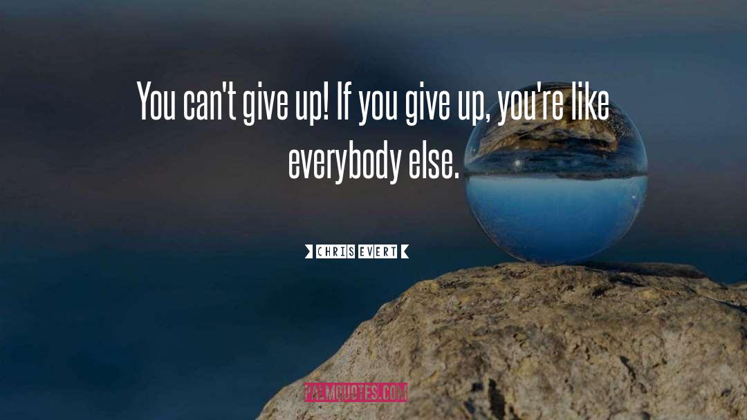 Chris Evert Quotes: You can't give up! If