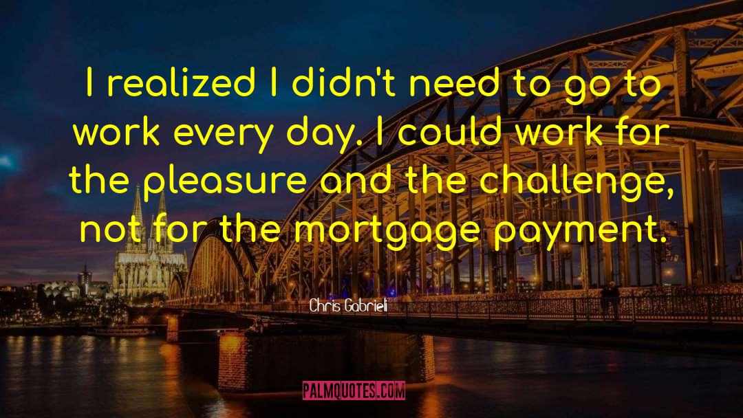 Chris Gabrieli Quotes: I realized I didn't need