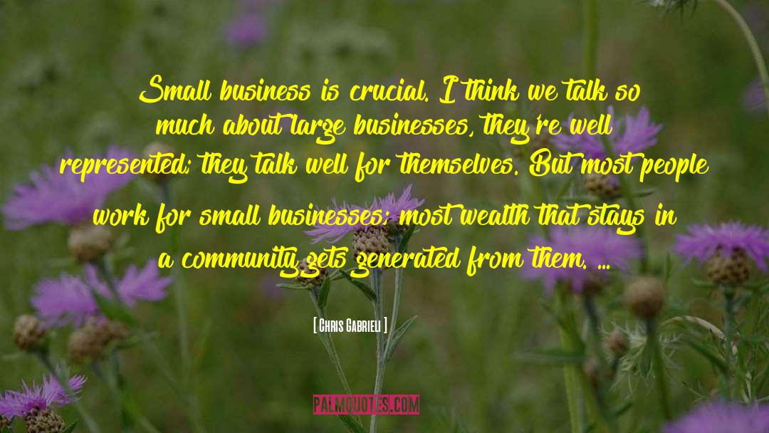 Chris Gabrieli Quotes: Small business is crucial. I
