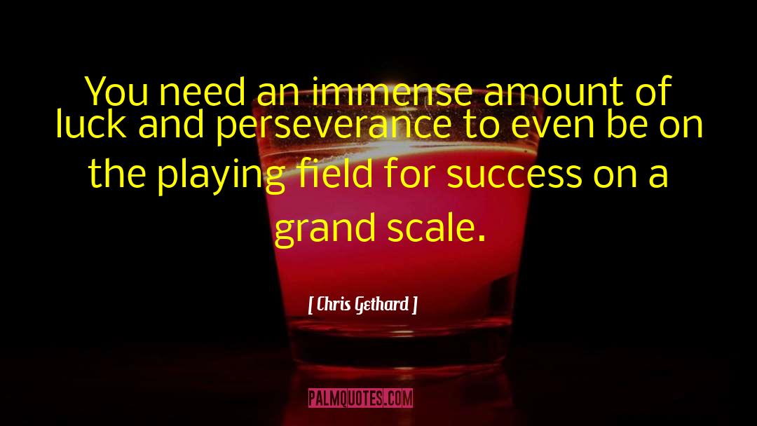 Chris Gethard Quotes: You need an immense amount