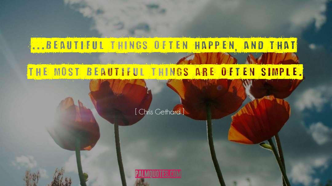 Chris Gethard Quotes: ...beautiful things often happen, and