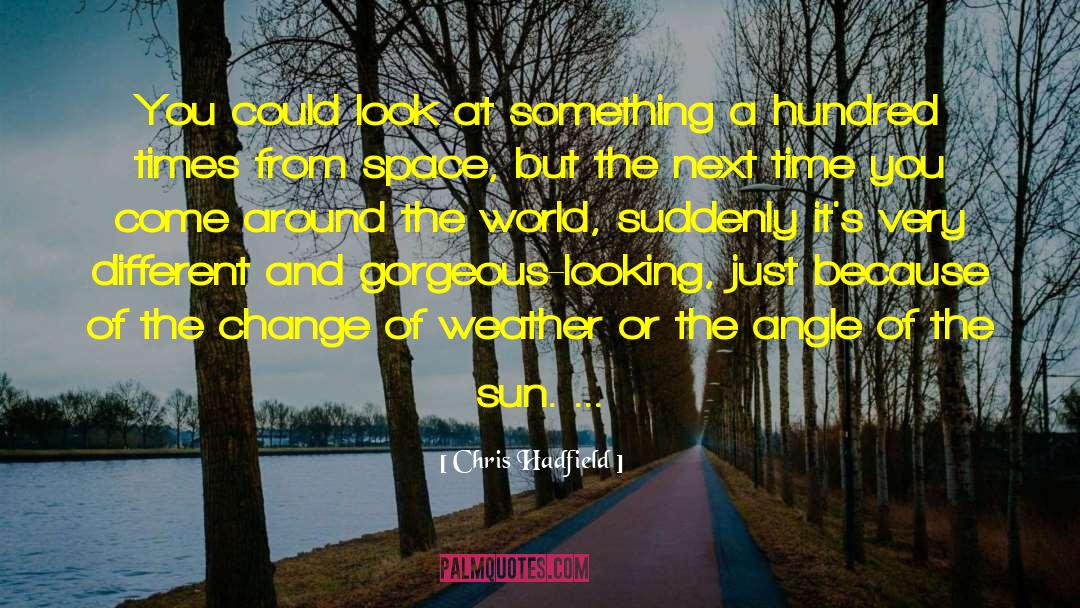 Chris Hadfield Quotes: You could look at something