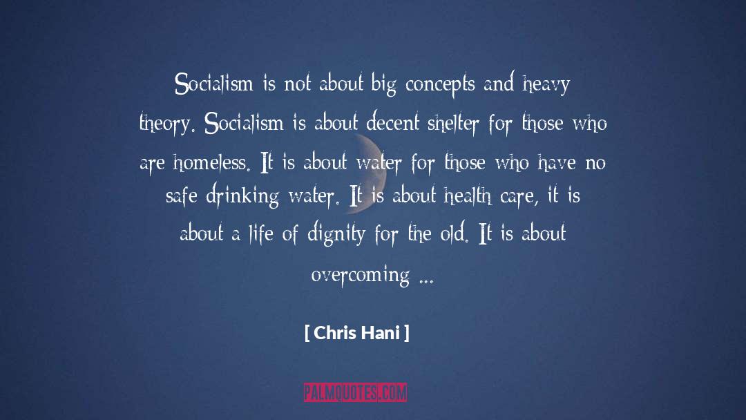 Chris Hani Quotes: Socialism is not about big