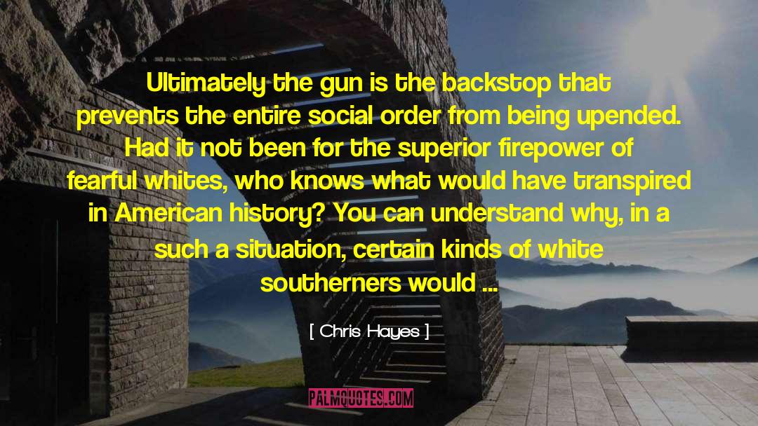 Chris Hayes Quotes: Ultimately the gun is the