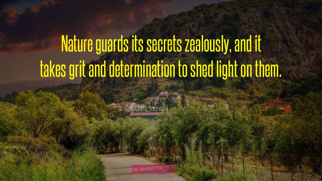 Chris Impey Quotes: Nature guards its secrets zealously,