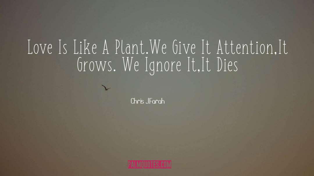 Chris J.Farah Quotes: Love Is Like A Plant.We
