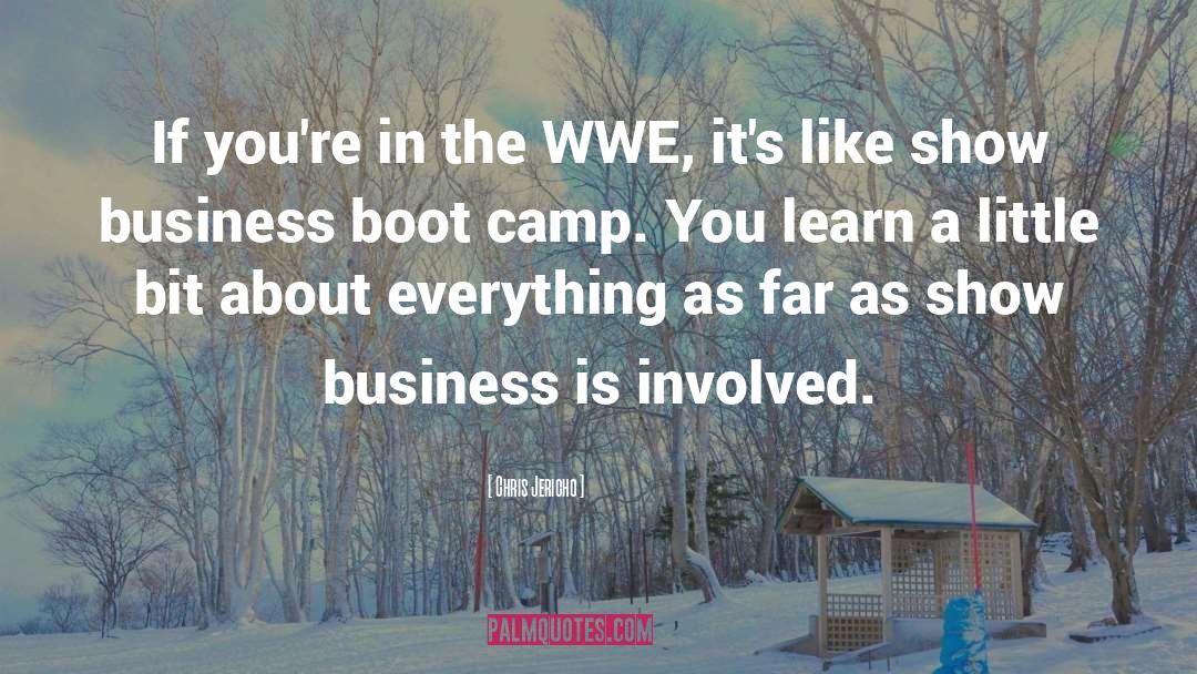 Chris Jericho Quotes: If you're in the WWE,