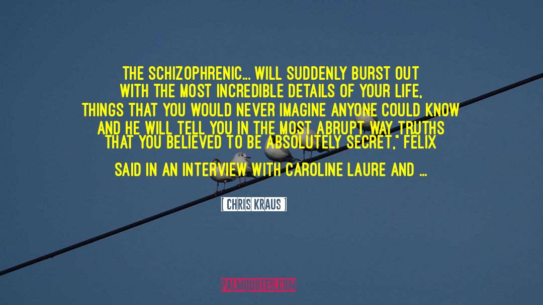 Chris Kraus Quotes: The schizophrenic... will suddenly burst