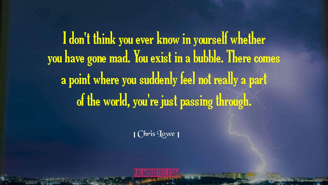 Chris Lowe Quotes: I don't think you ever