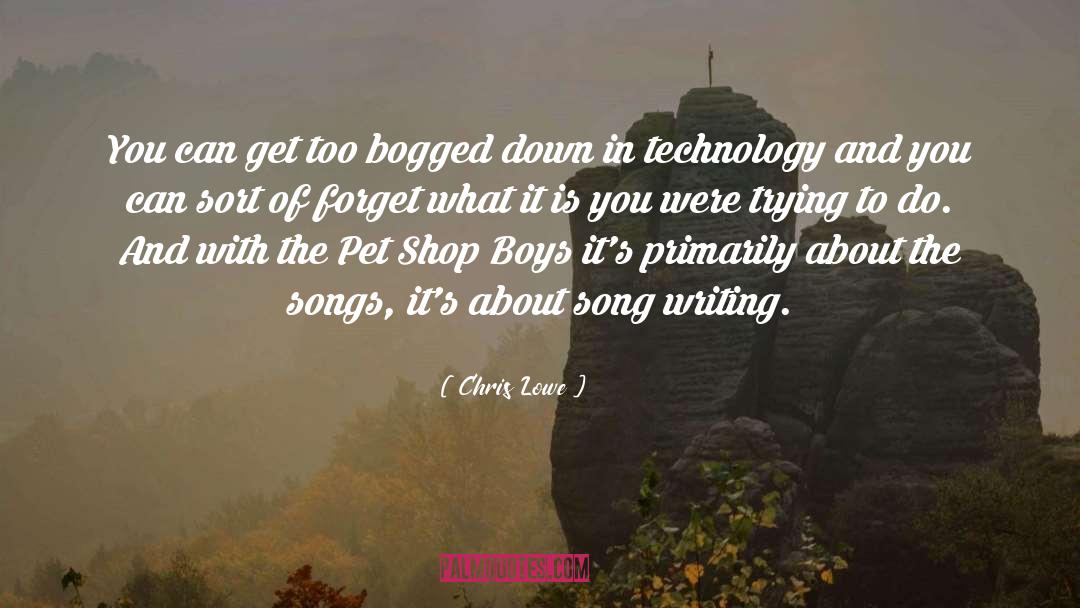 Chris Lowe Quotes: You can get too bogged