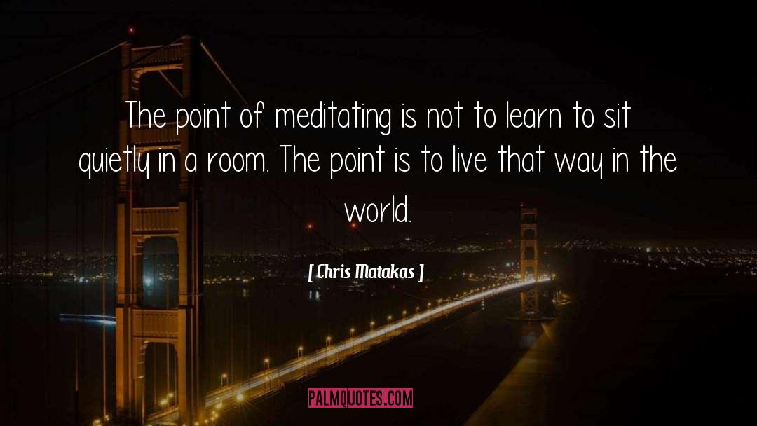 Chris Matakas Quotes: The point of meditating is