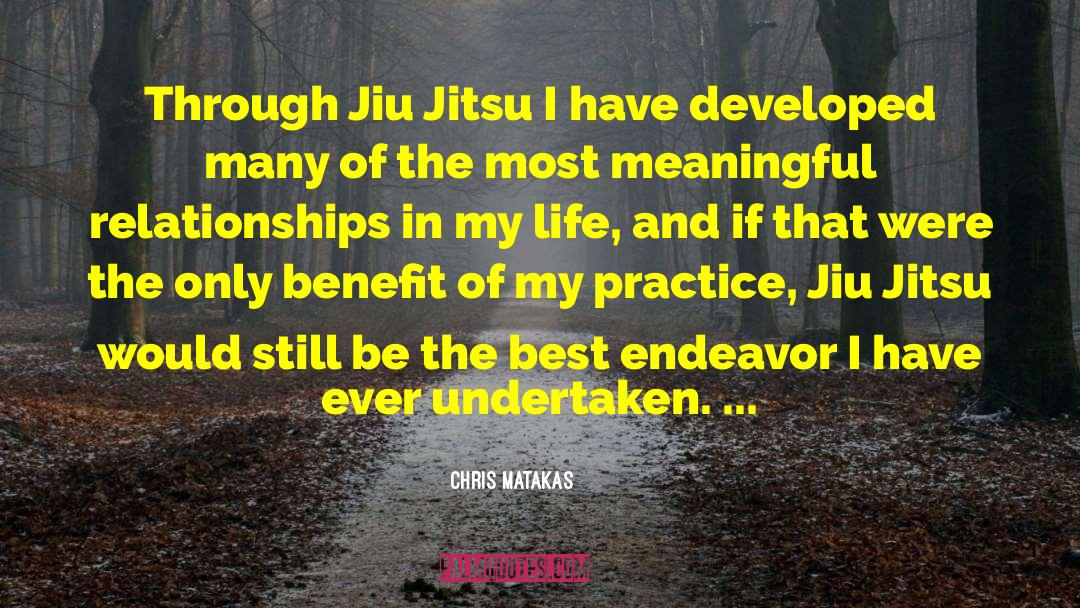 Chris Matakas Quotes: Through Jiu Jitsu I have