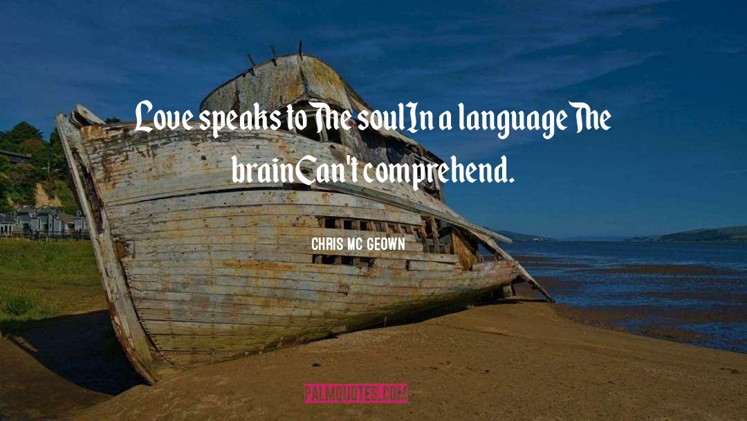 Chris Mc Geown Quotes: Love speaks to<br />The soul<br