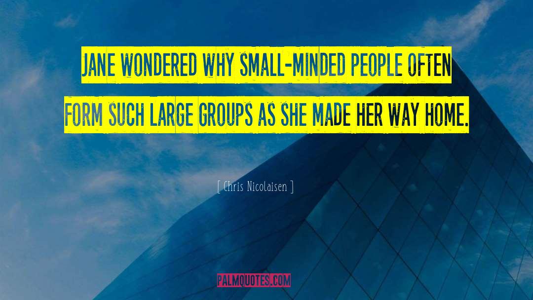 Chris Nicolaisen Quotes: Jane wondered why small-minded people