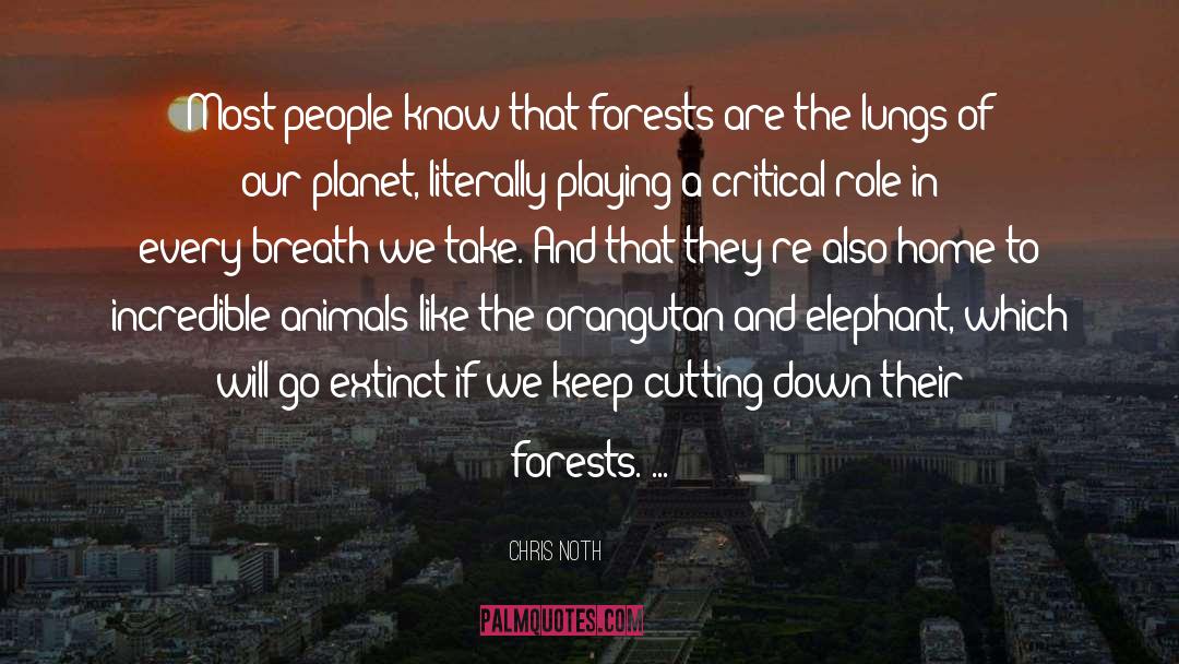 Chris Noth Quotes: Most people know that forests