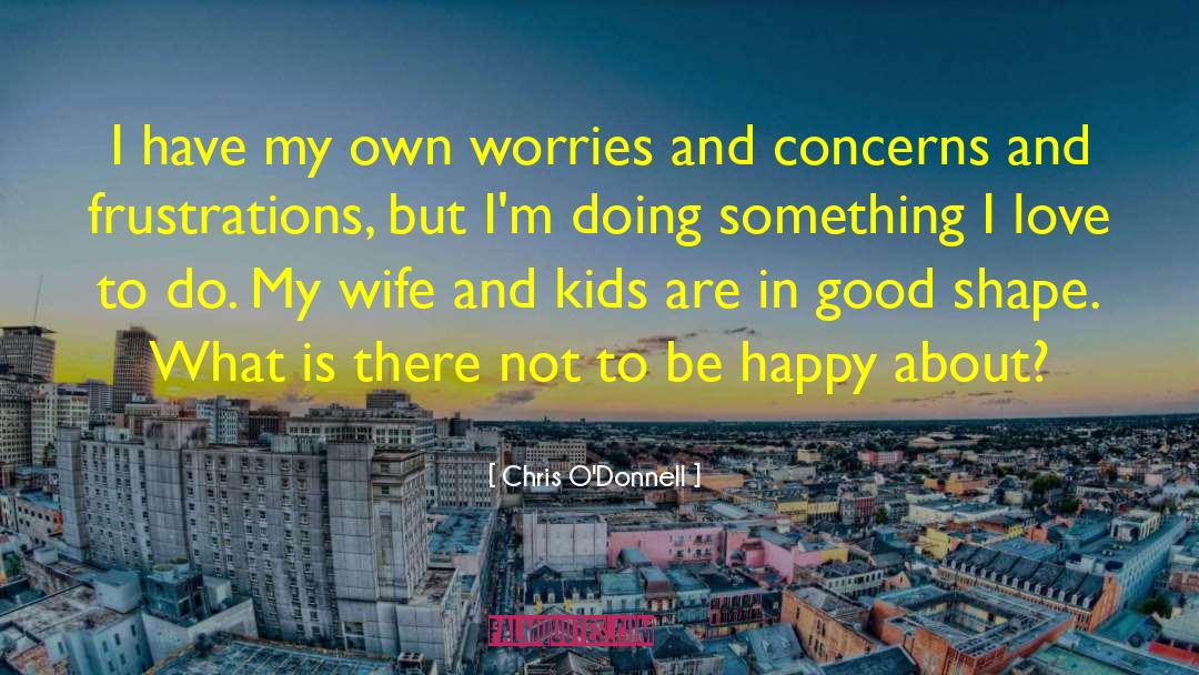 Chris O'Donnell Quotes: I have my own worries