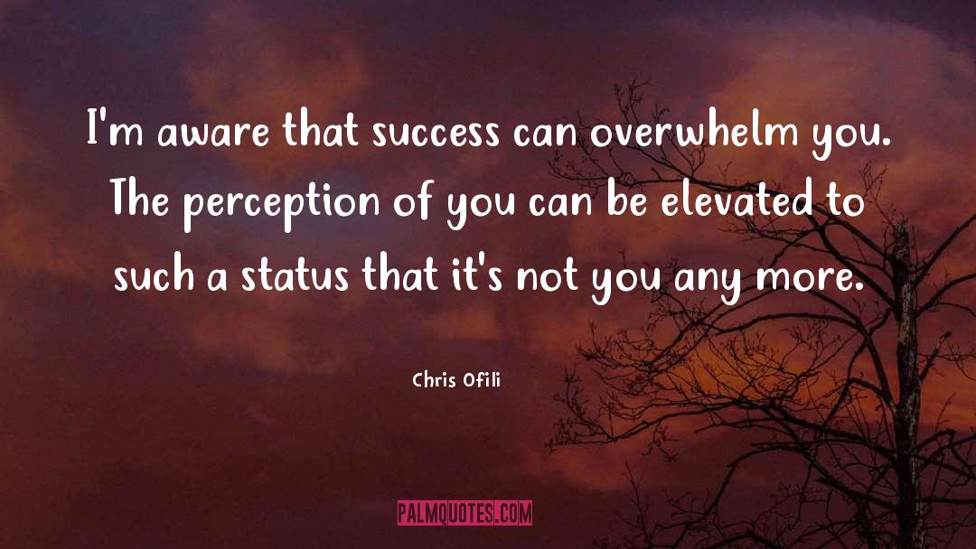 Chris Ofili Quotes: I'm aware that success can