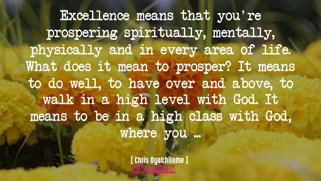 Chris Oyakhilome Quotes: Excellence means that you're prospering