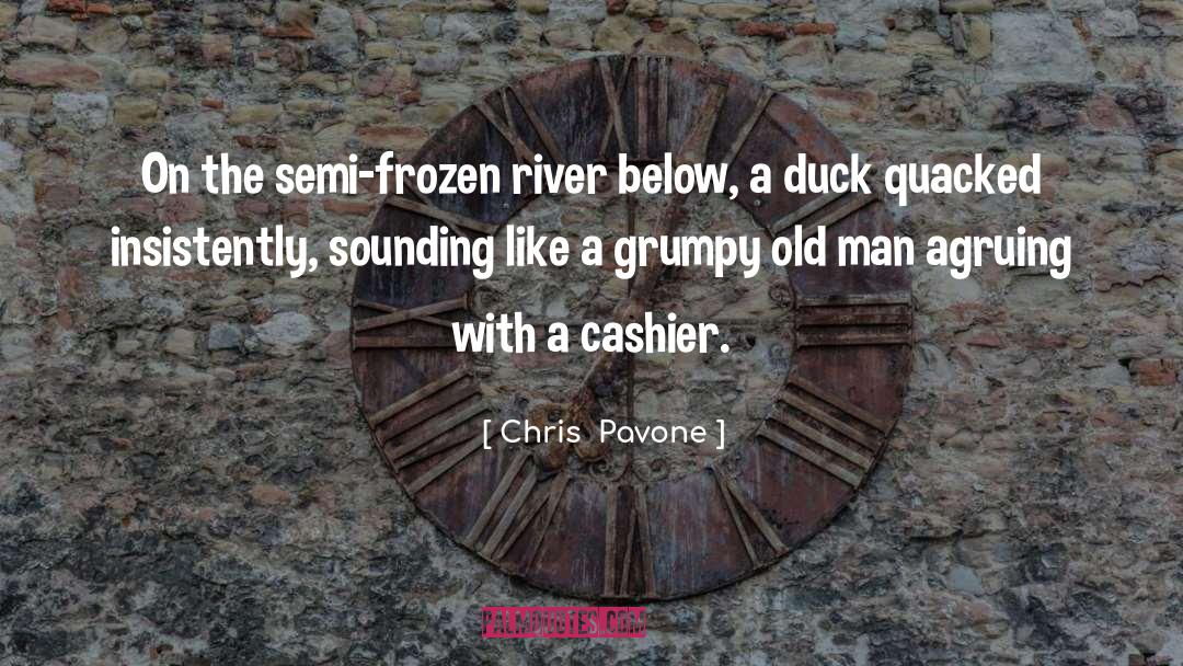 Chris  Pavone Quotes: On the semi-frozen river below,