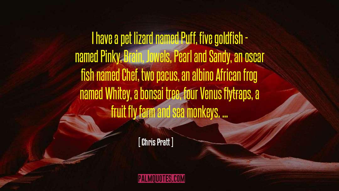 Chris Pratt Quotes: I have a pet lizard