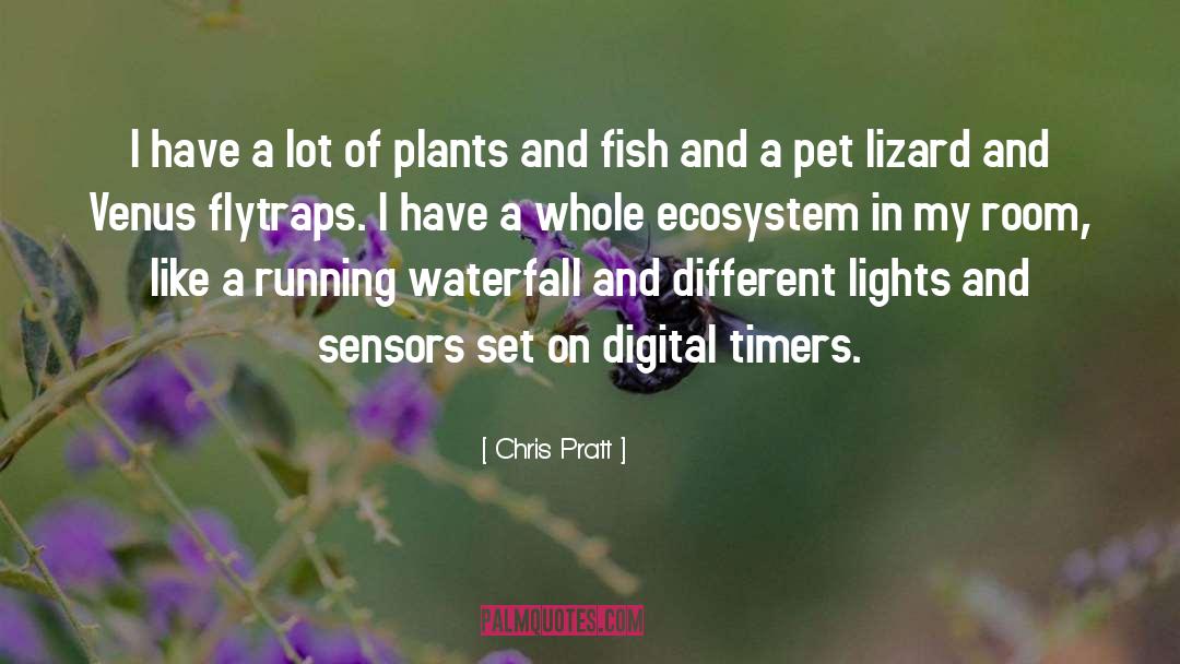 Chris Pratt Quotes: I have a lot of