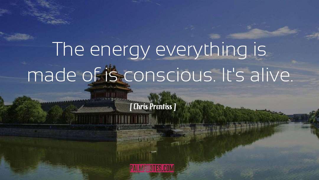 Chris Prentiss Quotes: The energy everything is made