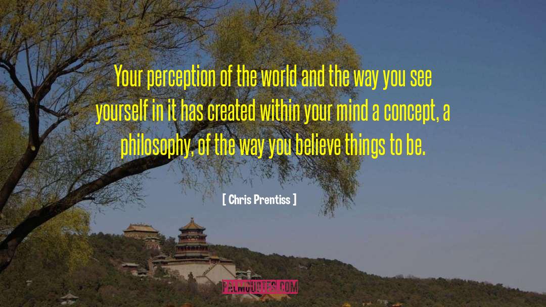 Chris Prentiss Quotes: Your perception of the world