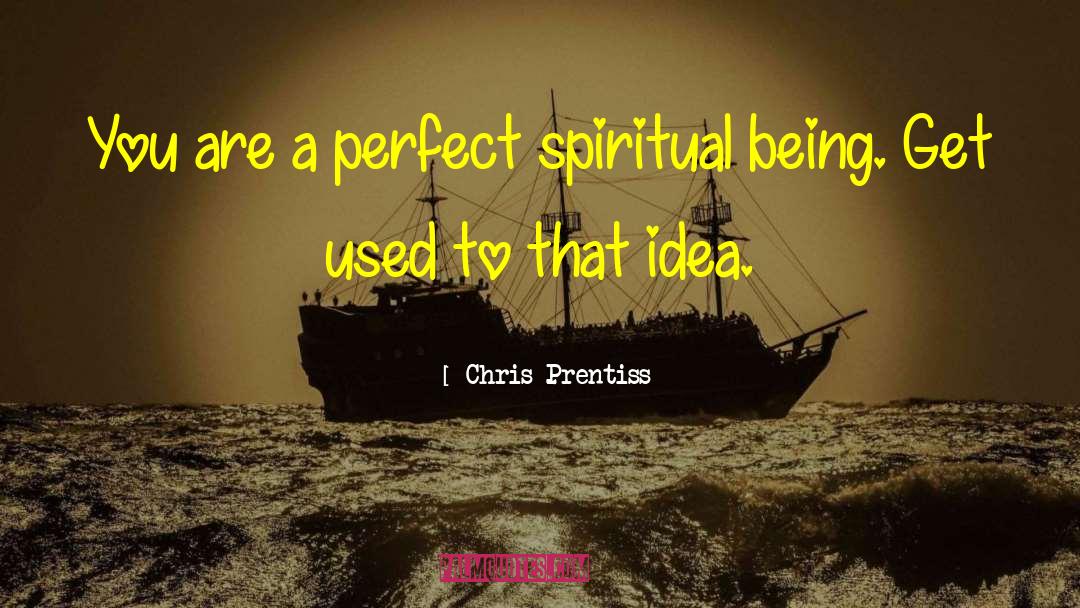 Chris Prentiss Quotes: You are a perfect spiritual
