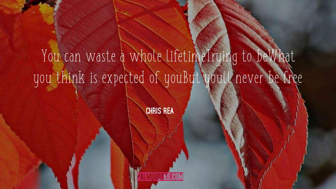 Chris Rea Quotes: You can waste a whole