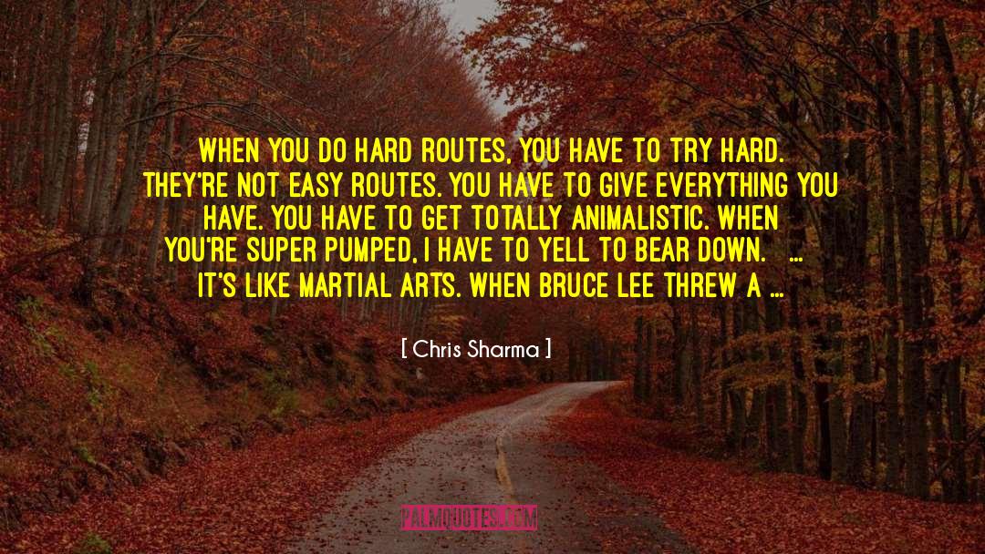 Chris Sharma Quotes: When you do hard routes,