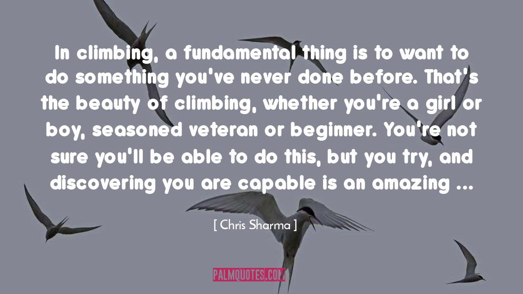 Chris Sharma Quotes: In climbing, a fundamental thing