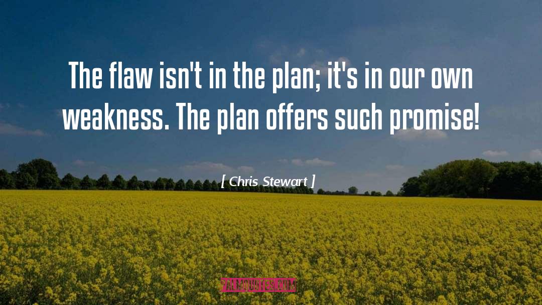 Chris Stewart Quotes: The flaw isn't in the