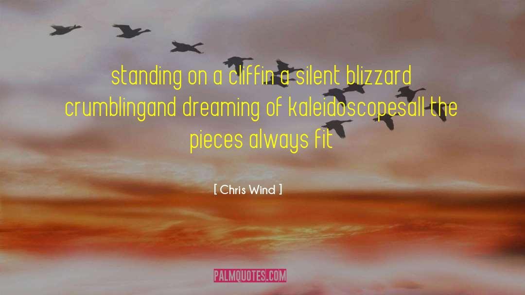 Chris Wind Quotes: standing on a cliff<br />in