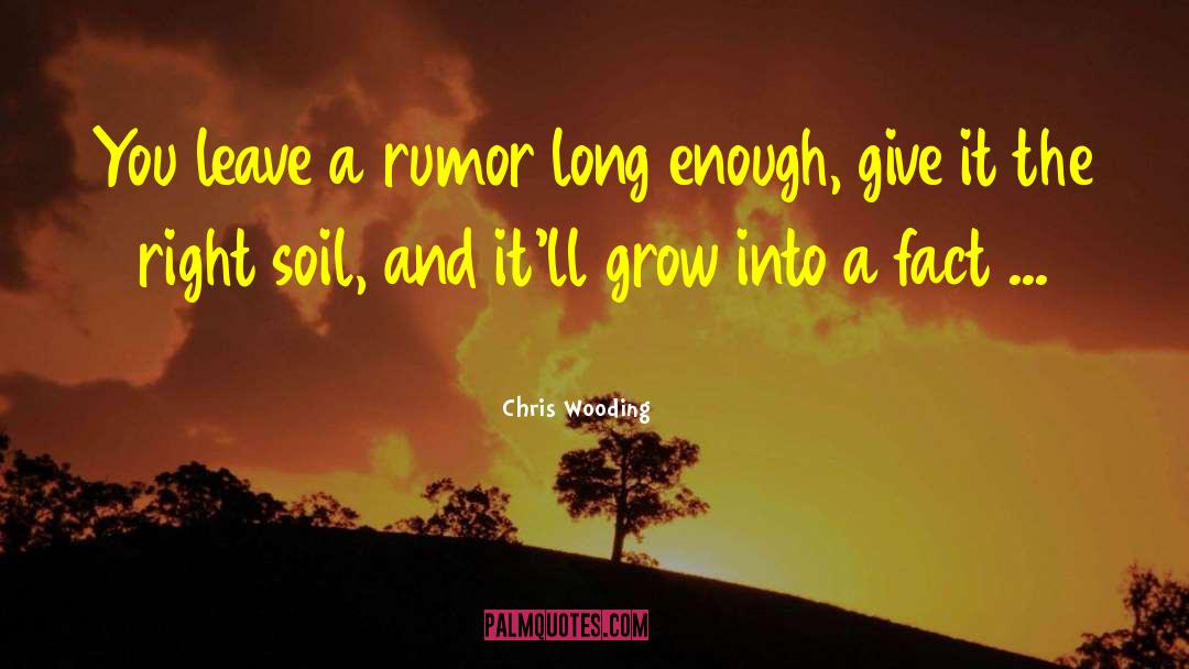 Chris Wooding Quotes: You leave a rumor long