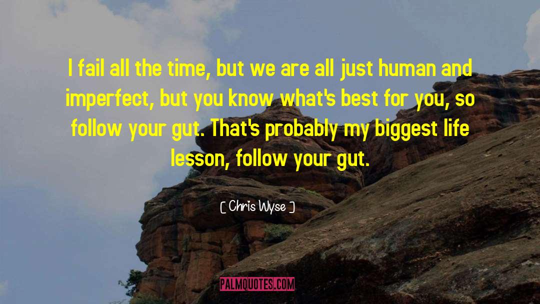 Chris Wyse Quotes: I fail all the time,