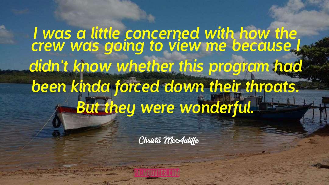 Christa McAuliffe Quotes: I was a little concerned