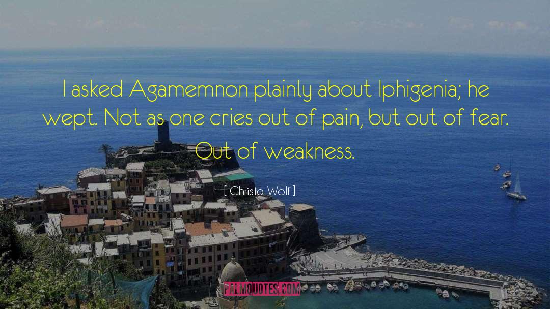 Christa Wolf Quotes: I asked Agamemnon plainly about