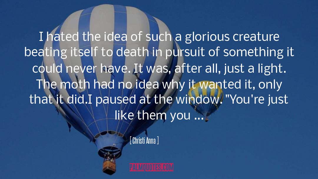 Christi Anna Quotes: I hated the idea of