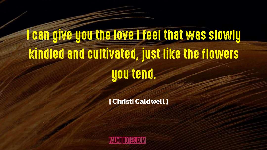 Christi Caldwell Quotes: I can give you the