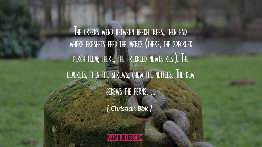 Christian Bök Quotes: The creeks wend between beech