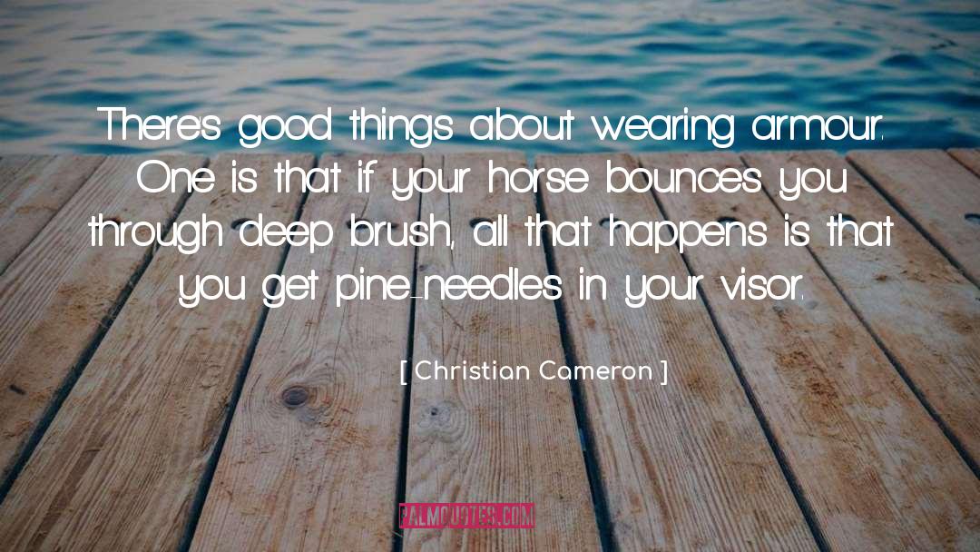 Christian Cameron Quotes: There's good things about wearing