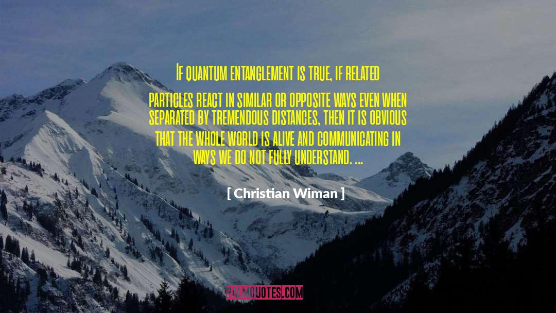 Christian Wiman Quotes: If quantum entanglement is true,