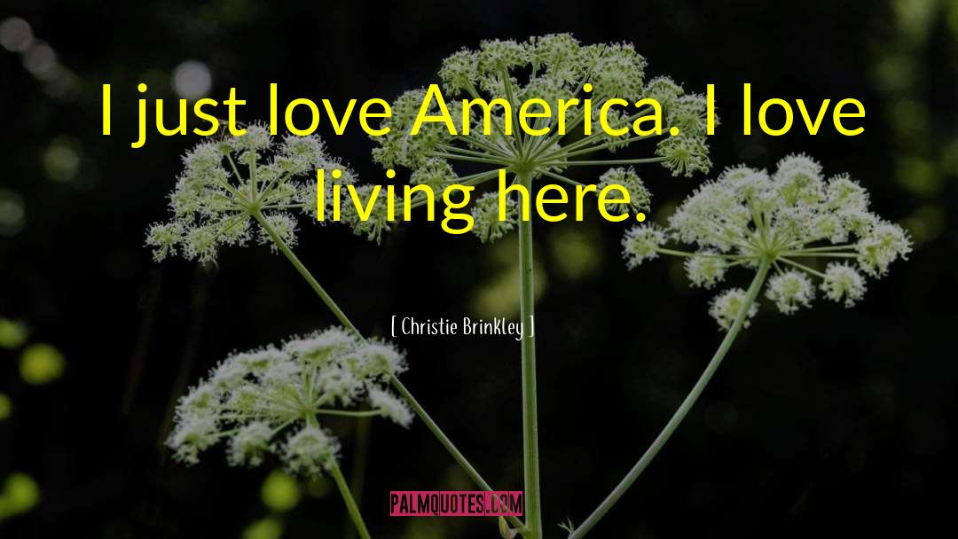 Christie Brinkley Quotes: I just love America. I