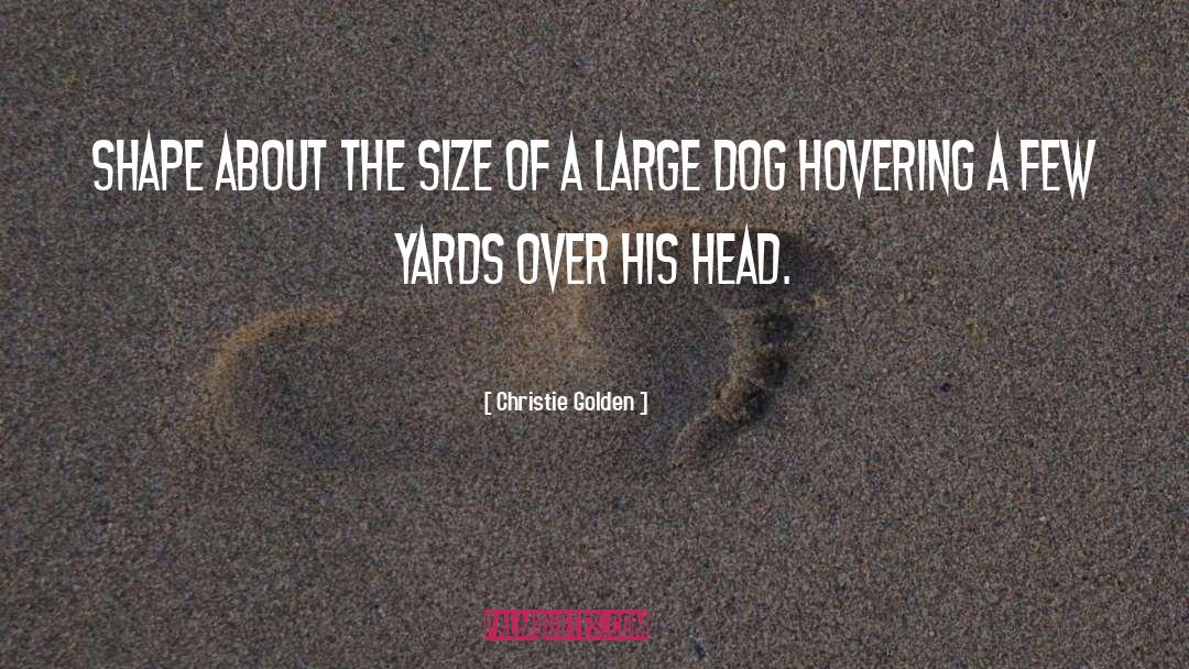 Christie Golden Quotes: shape about the size of