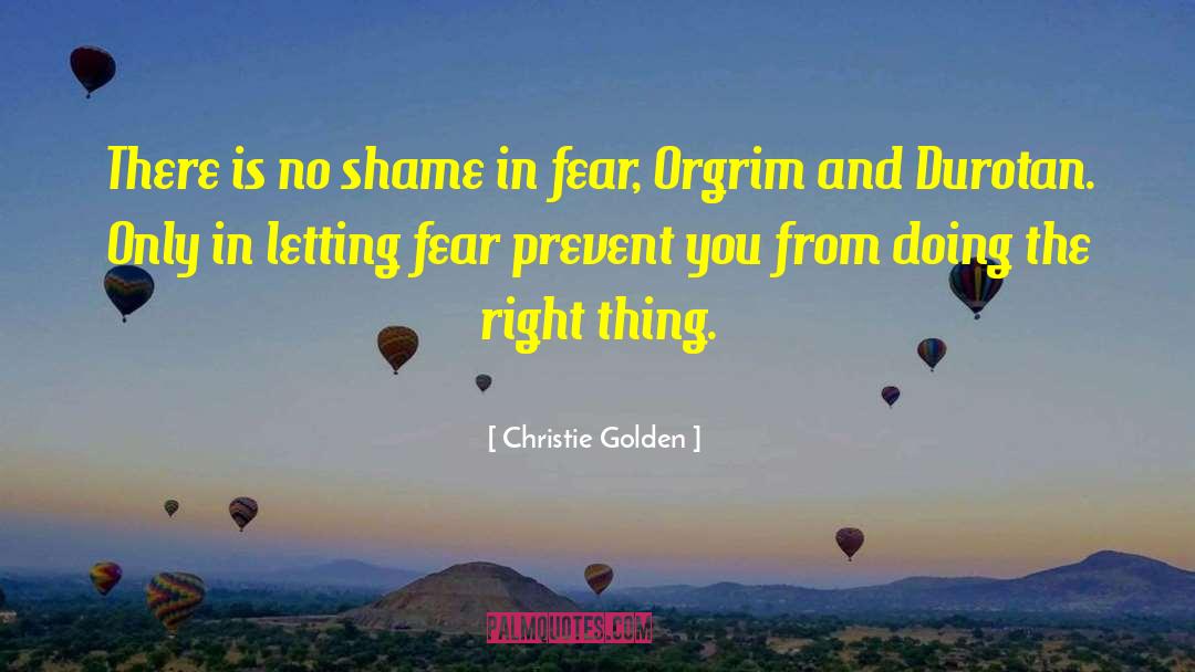 Christie Golden Quotes: There is no shame in