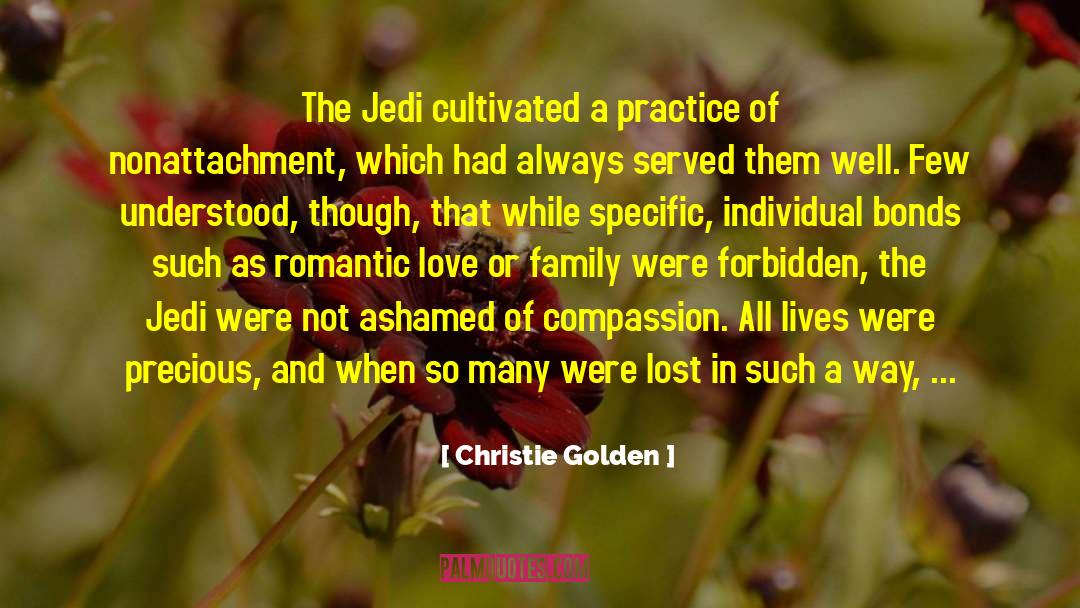 Christie Golden Quotes: The Jedi cultivated a practice