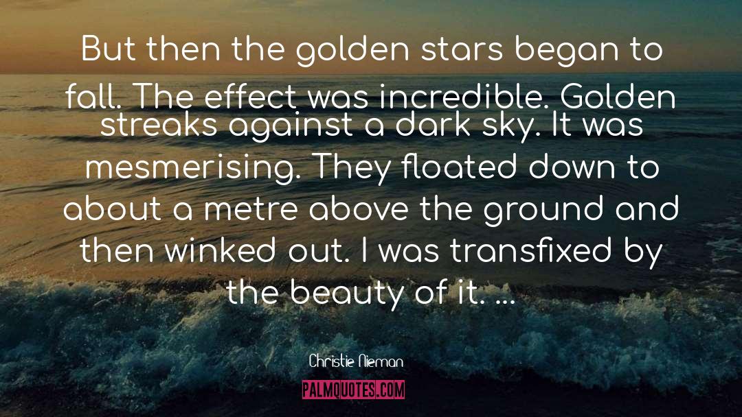 Christie Nieman Quotes: But then the golden stars