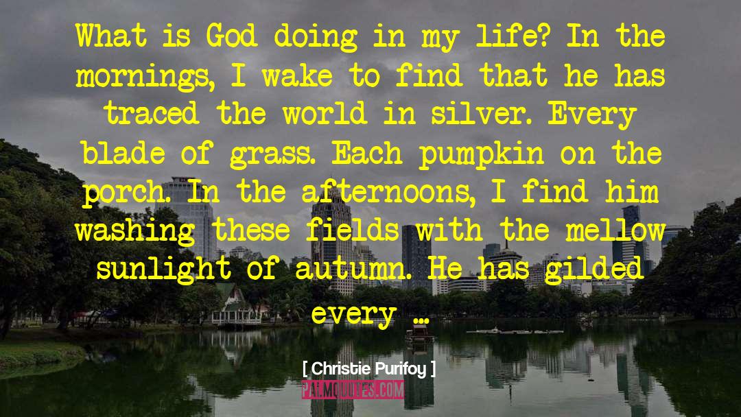 Christie Purifoy Quotes: What is God doing in