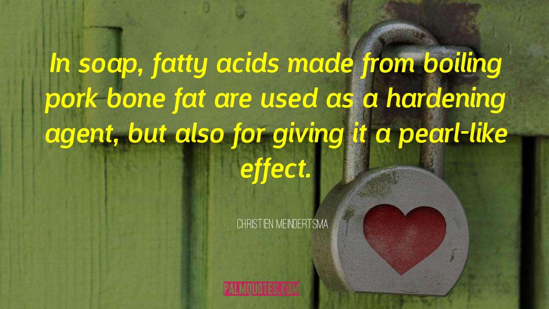Christien Meindertsma Quotes: In soap, fatty acids made