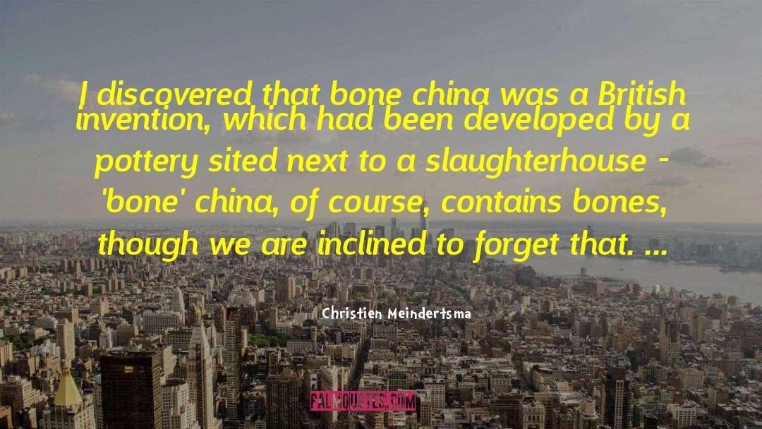 Christien Meindertsma Quotes: I discovered that bone china